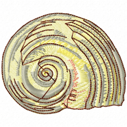 Seashell Embroidery Design 6 Seashell Embroidery Design 6